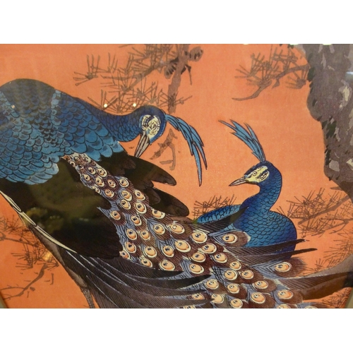 1350 - A Ohara Koson Recess framed Print (Two Peacocks On Tree Branch) 50X100Cm(PFPPR4130448)   *