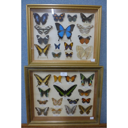 451 - Two framed sets of mounted butterflies