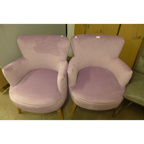 1498 - A pair of Charleston violet velvet small armchairs