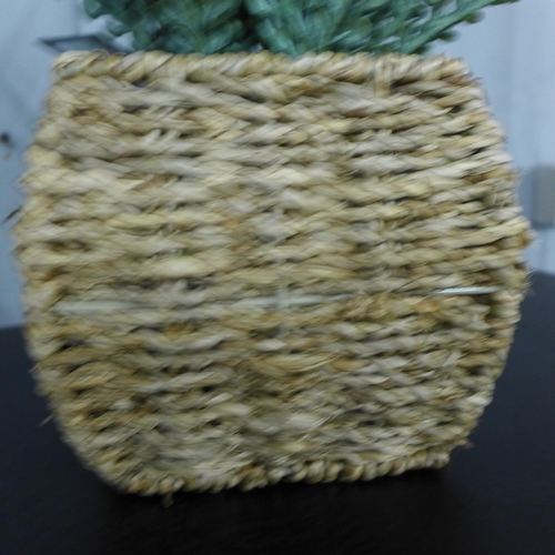 1404 - An artificial fern in a seagrass basket, H 43cms (67452713)   #