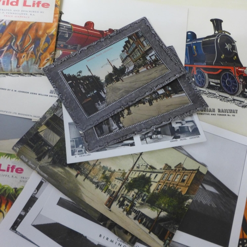 710 - A collection of 15 Brooke Bond tea card albums, postcards and locomotive cards and photograph