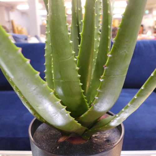 1510 - An artificial Aloe Vera plant