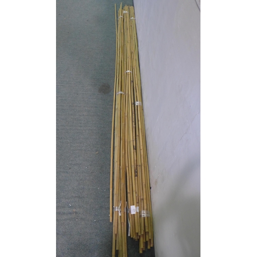 3099 - Quantity of Garden Bamboo Cane (6ft Approx)