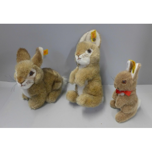 749 - Three Steiff button in ear bunny rabbits, made in Germany