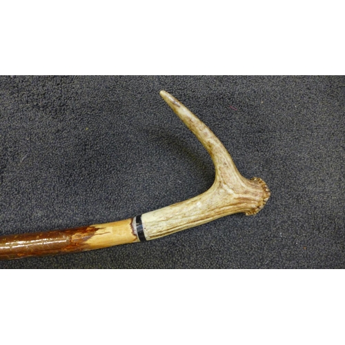 798 - A wooden shepherd's crook