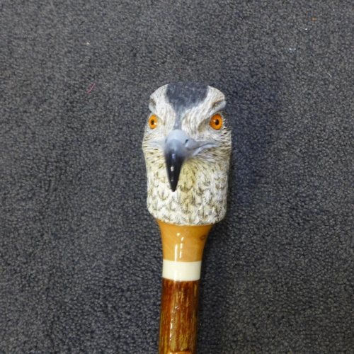 800 - A bird of prey's head walking cane with maker's stamp - CW