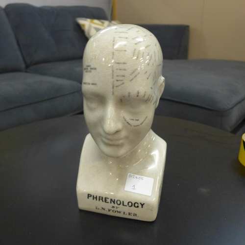 1378 - A phrenology study head