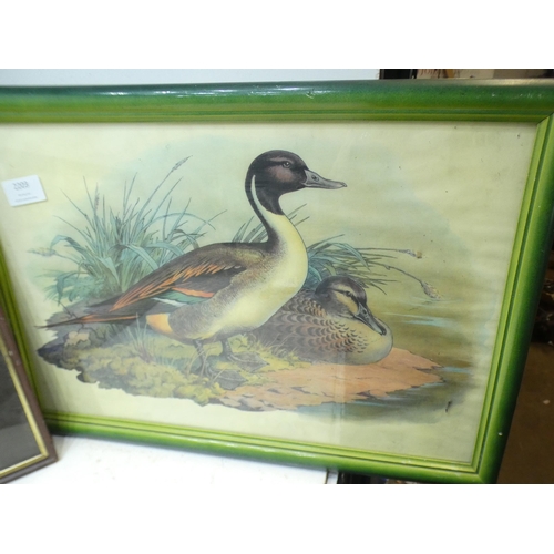 2203 - 2 Framed prints of ducks, one framed print of cars and cigarette cards