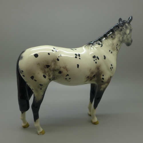 628 - A Beswick Appaloosa Stallion