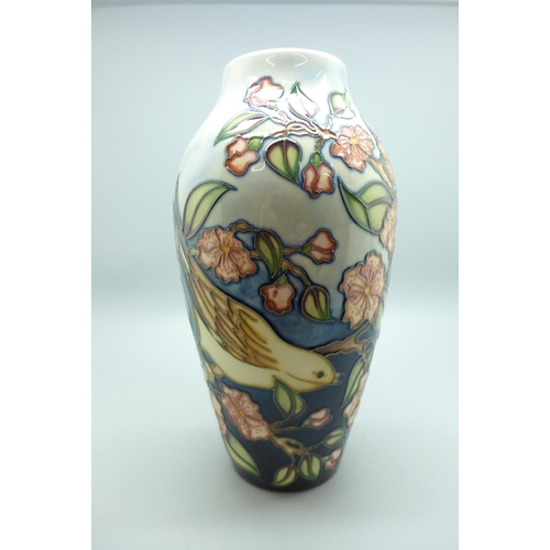 608 - A Moorcroft Linnets and Blossom vase, design by Sian Leeper, trial version, 20cm, boxed, RRP £265 wh... 