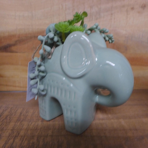 1375 - An artificial succulent plant in a ceramic elephant, H 17cms (67689706)   #