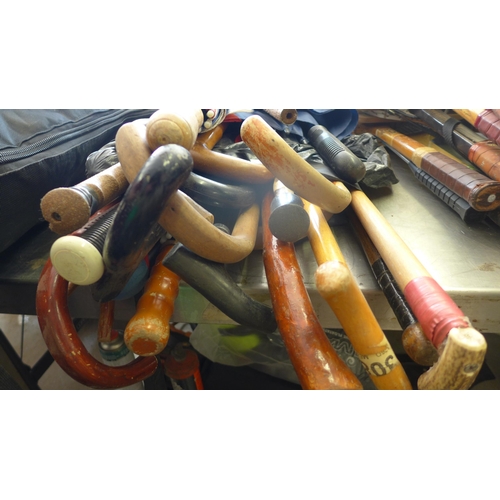 2142 - A quantity of wooden walking sticks