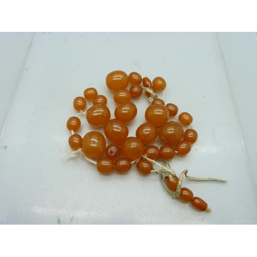 1094 - An amber coloured bead necklace, requires re-threading