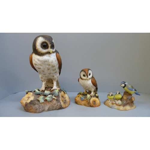 611 - Two Royal Crown Derby Brown Owl figures and a Blue Tits and Chicks figure (3)