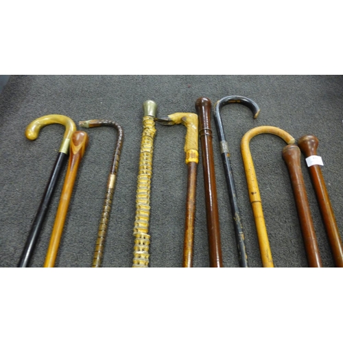 823 - A collection of walking sticks