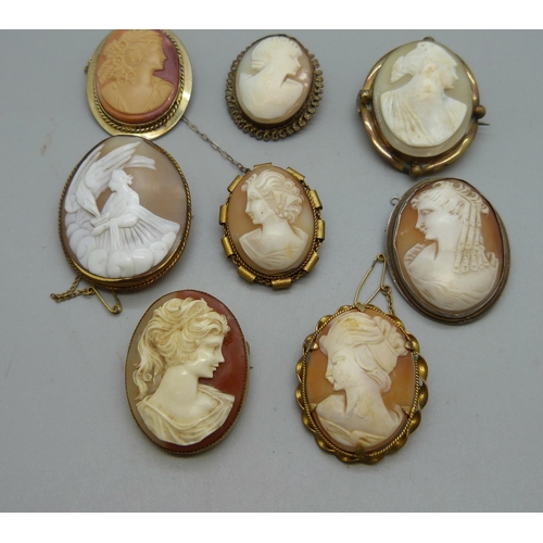 954 - Eight cameo brooches