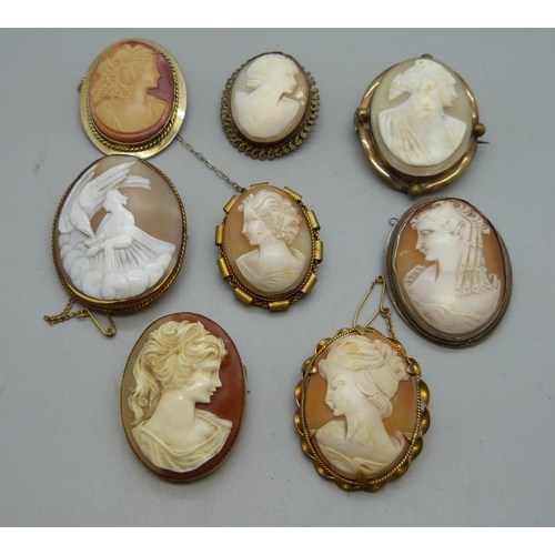 954 - Eight cameo brooches