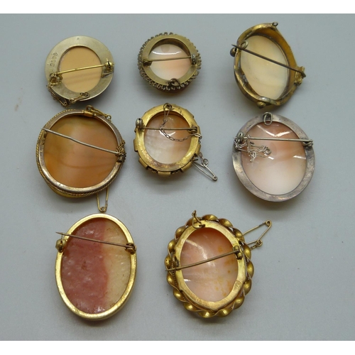 954 - Eight cameo brooches