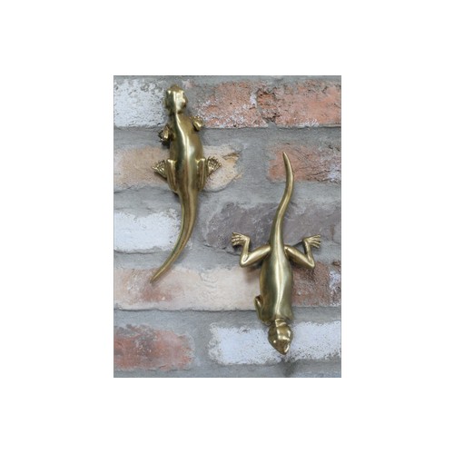 1311 - A set of two wall lizards (792406)   #