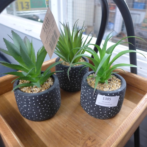 1371 - Three succulents in spotty pots, H 15cms (67681102)   #