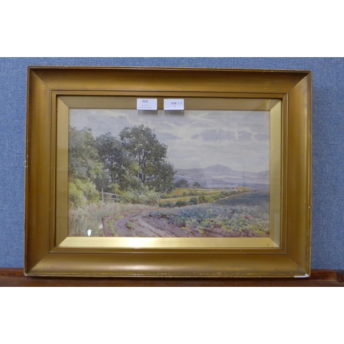 360 - Joseph Andrews, rural landscape, watercolour, framed