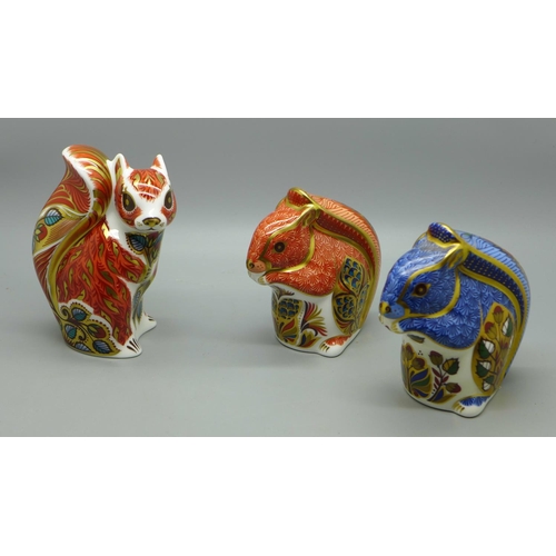 1299 - Three Royal Crown Derby paperweights, Debenhams Blue Squirrel (exclusive to Debenhams until the end ... 