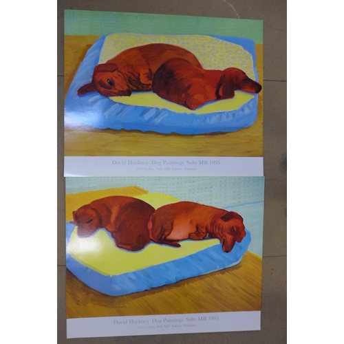 259 - Two David Hockney prints, Dog Painting 38 and Dog Painting 43, unframed