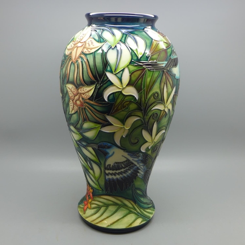 605 - A Moorcroft Chapada Sun Conure vase, 26cm, designed by Sian Leeper, 133/350, boxed