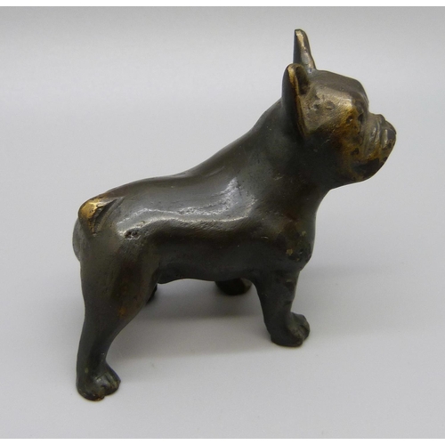 879 - A bronze figure of a Bulldog, 58mm high