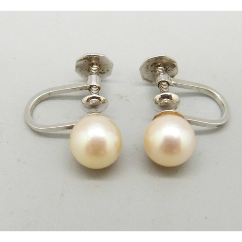 1009 - A pair of 9ct white gold pearl mounted earrings with screw backs, marked Ciro, in a Ciro box, 1.8g