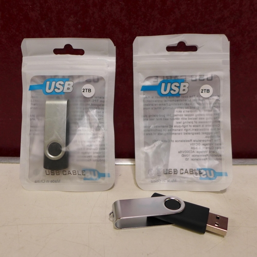 3181 - Two 2TB USB sticks