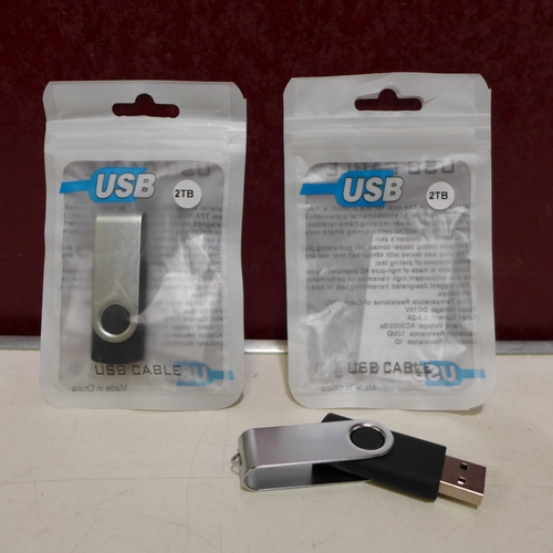 3183 - Two 2TB USB sticks