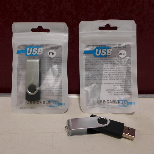 3185 - Two 2TB USB sticks