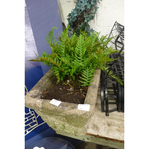 2327 - Stone planter with fern