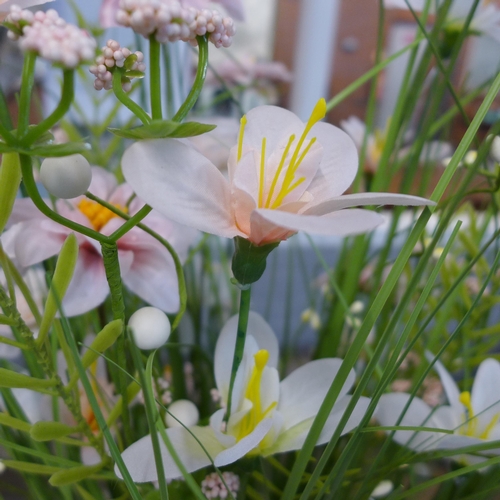 1425 - A floral grass bundle with Freesia, H 100cms (2925518)   #