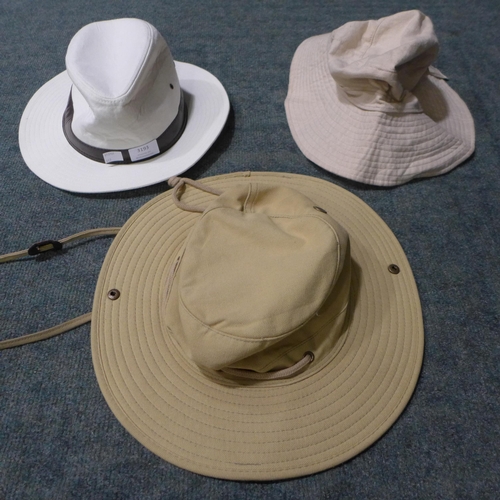 3193 - Three miscellaneous hats