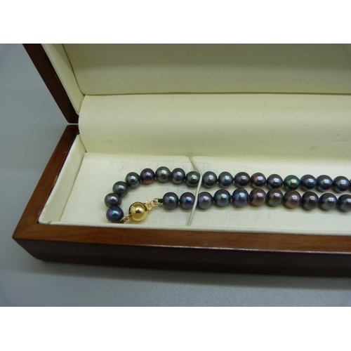 1016 - A pearl necklace on an 18ct gold clasp