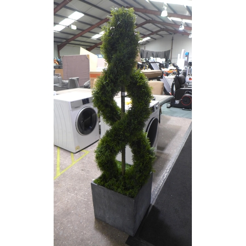 3054b - 6ft Cedar Spiral Topiary, original RRP £169.99 + VAT (262-374)  * This lot is subject to vat