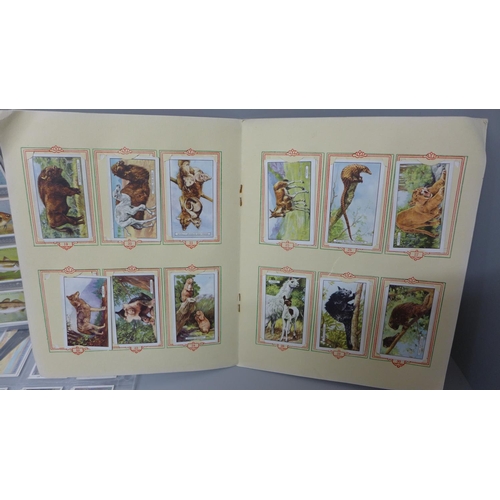 708 - A collection of cigarette cards, complete sets, animals and birds