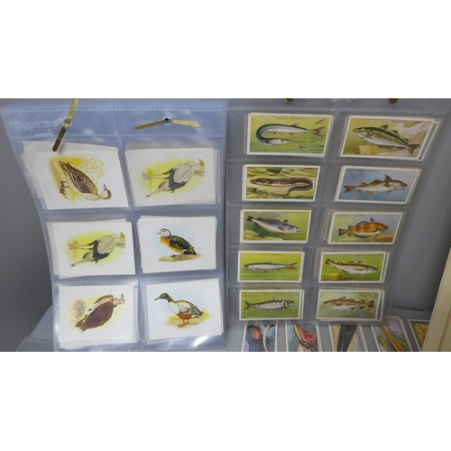 708 - A collection of cigarette cards, complete sets, animals and birds