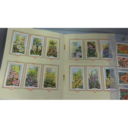 717 - A collection of cigarette cards, flowers