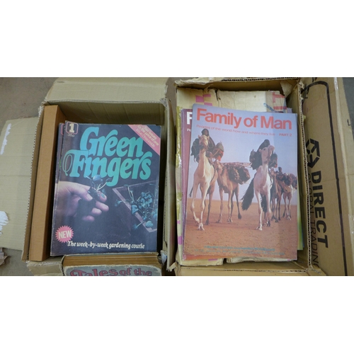 405 - The boxes of 1970s and earlier magazines comprising 'Green Fingers', Number 1-54, Illustrated London... 