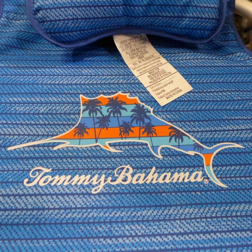 3179 - Tommy Bahama Beach Chair (265-66)   *This lot is subject to VAT