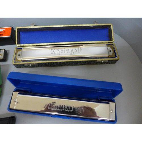 648 - Seven Hohner harmonicas including Polyphonia and Rheingold