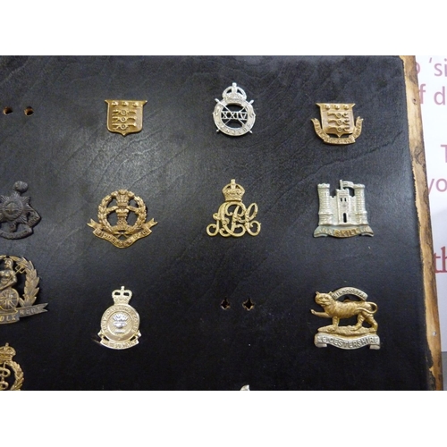 812 - Fifty-one Regimental cap badges and shoulder titles