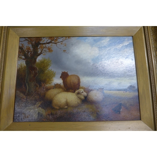 296 - A pair of rural landscapes with sheep in fields, oil on board, framed