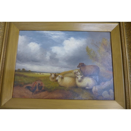 296 - A pair of rural landscapes with sheep in fields, oil on board, framed