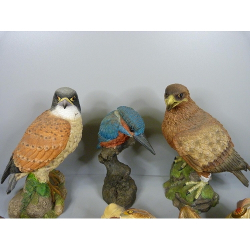 711 - Two Leonardo Collection Birds of Prey, an Arden Sculpture kingfisher and three Bossons plaques