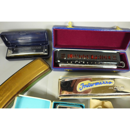 755 - A collection of harmonicas including German, Italian, etc.