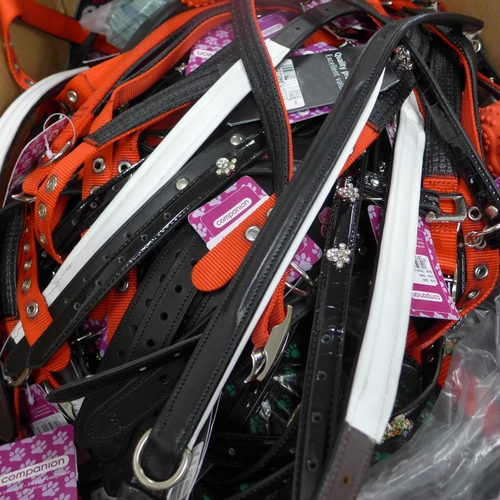 2294 - Box of approx 150-180 dog leads and collars